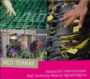 red TERRAE2
