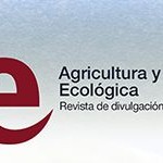 logo revista AE