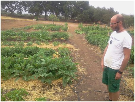 huerta de luis en herrera del duque