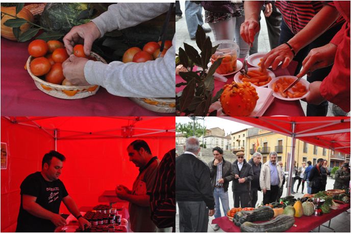 Mercadillo TERRAE en Burgohondo