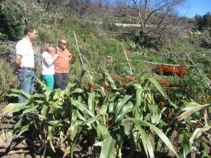 Visita  Red Terrae en Villa de Mazo