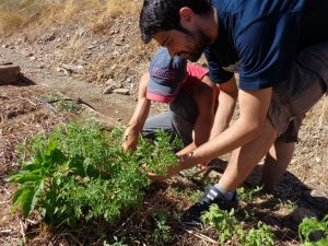 En formación de agroecología