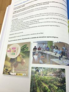 Proyecto dinamizacion TERRAE libro FEMP