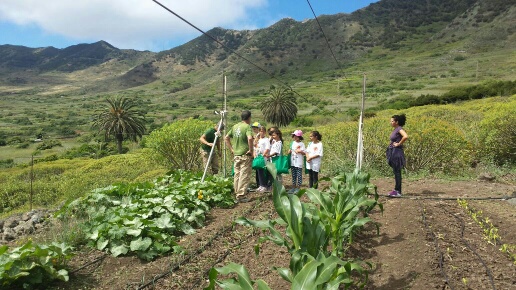 Finca Los Pedregales