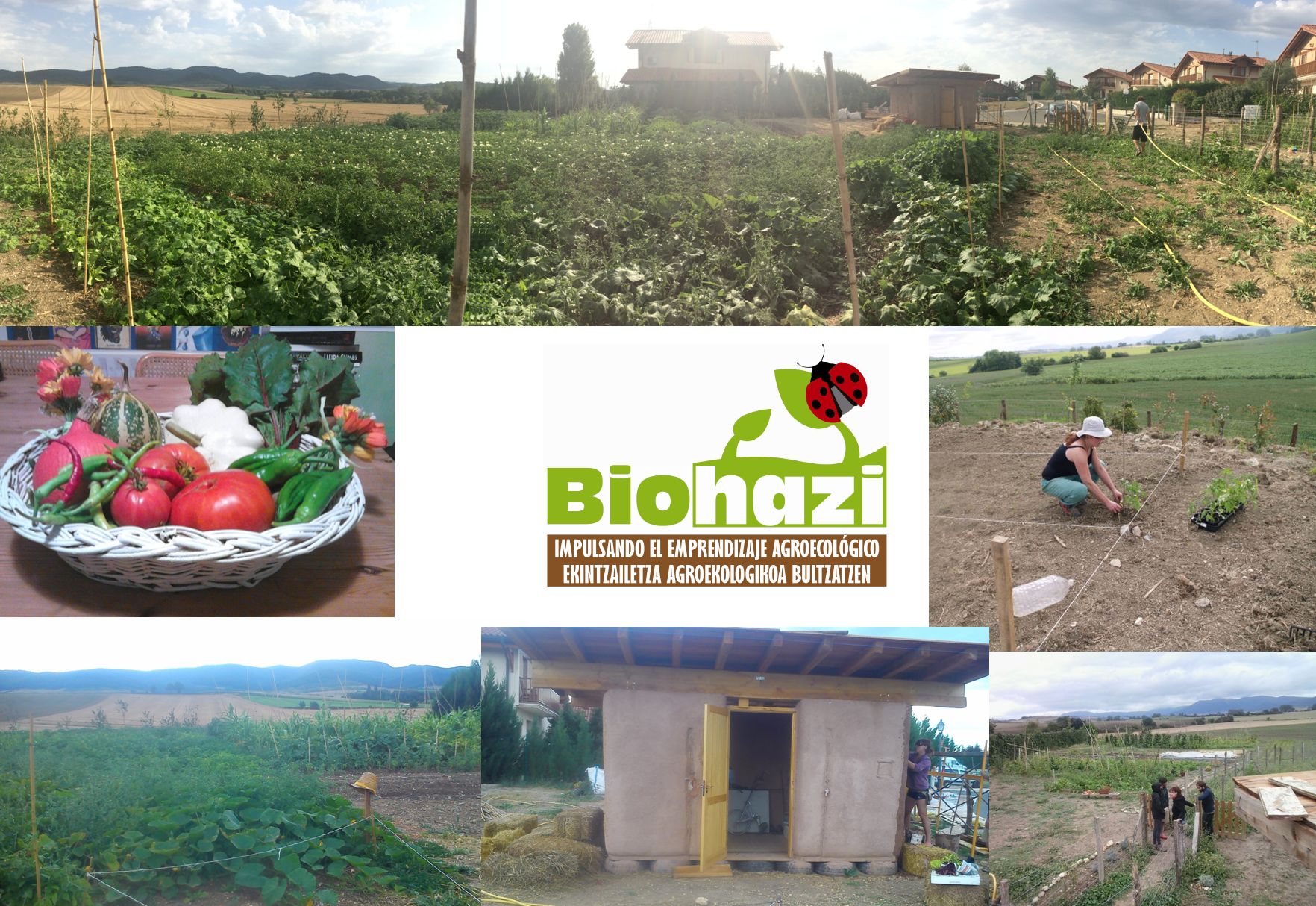 biohazi