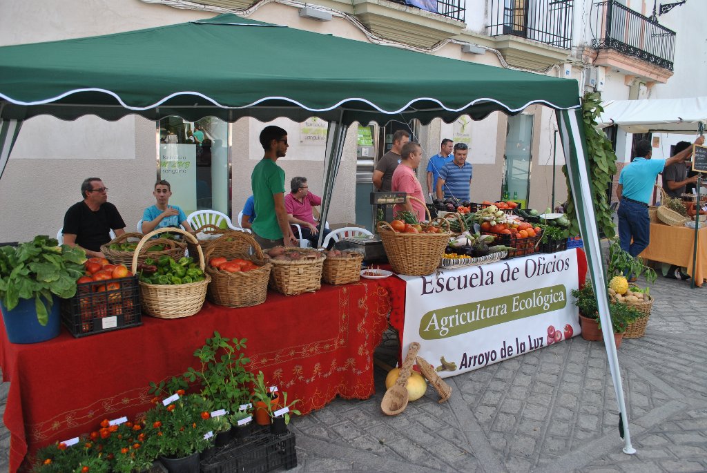 Mercadillo_1024x685