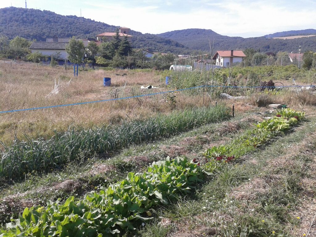 huerta-osasunbizi-sep-2016-2