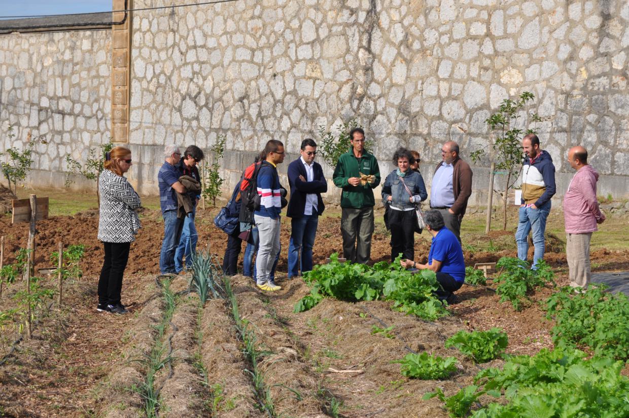 08-escuela-el-dueso-santona-65_1240x824