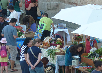 Los municipios ante los retos del cambio climático y los sistemas alimentarios locales.