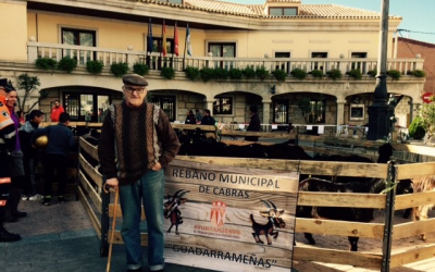 Recuperar las cabras para nuestros pueblos