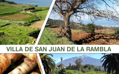 Agroecología desde el municipalismo y la insularidad. Encuentro Red TERRAE en Canarias