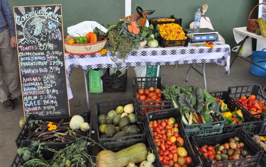 Dinamizar mercados, papel municipal