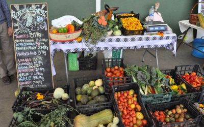 Dinamizar mercados, papel municipal