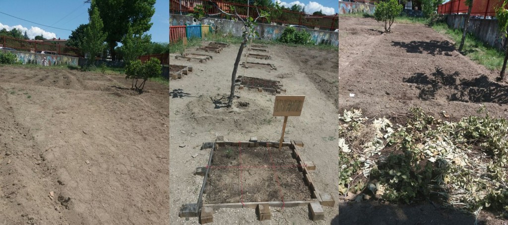 huerto escolar CEIP La cabrera