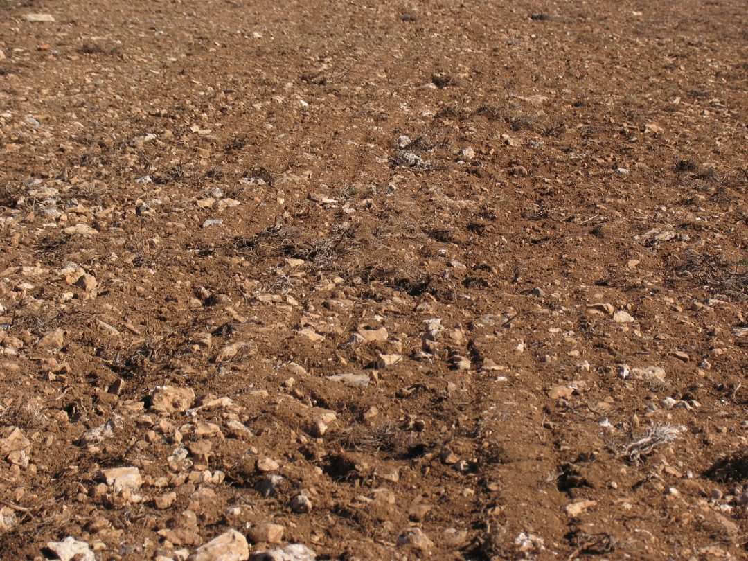 castroserracin tierra labrada | TERRITORIOS RESERVA AGROECOLÓGICOS