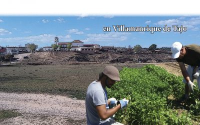 A vueltas con el protoemprendimiento