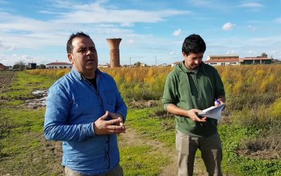 Recuperar la tierra es cuestión de voluntad política