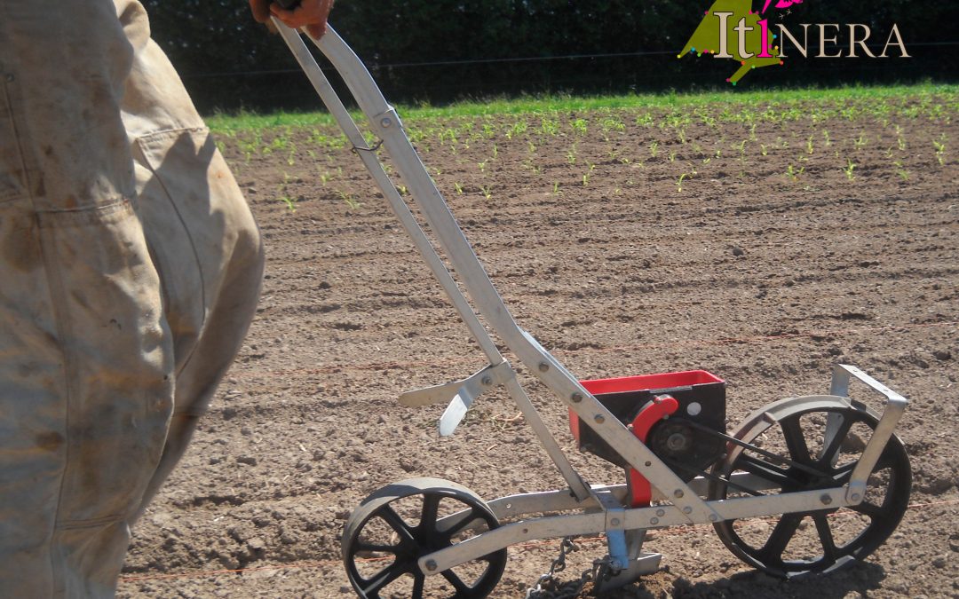 Volver y aprender a vivir de las tierras. La Escuela ItíNERA