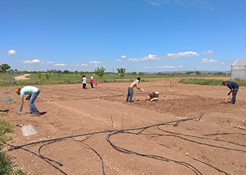 Del desempleo al emprendimiento, la escalada agroecológica TERRAE