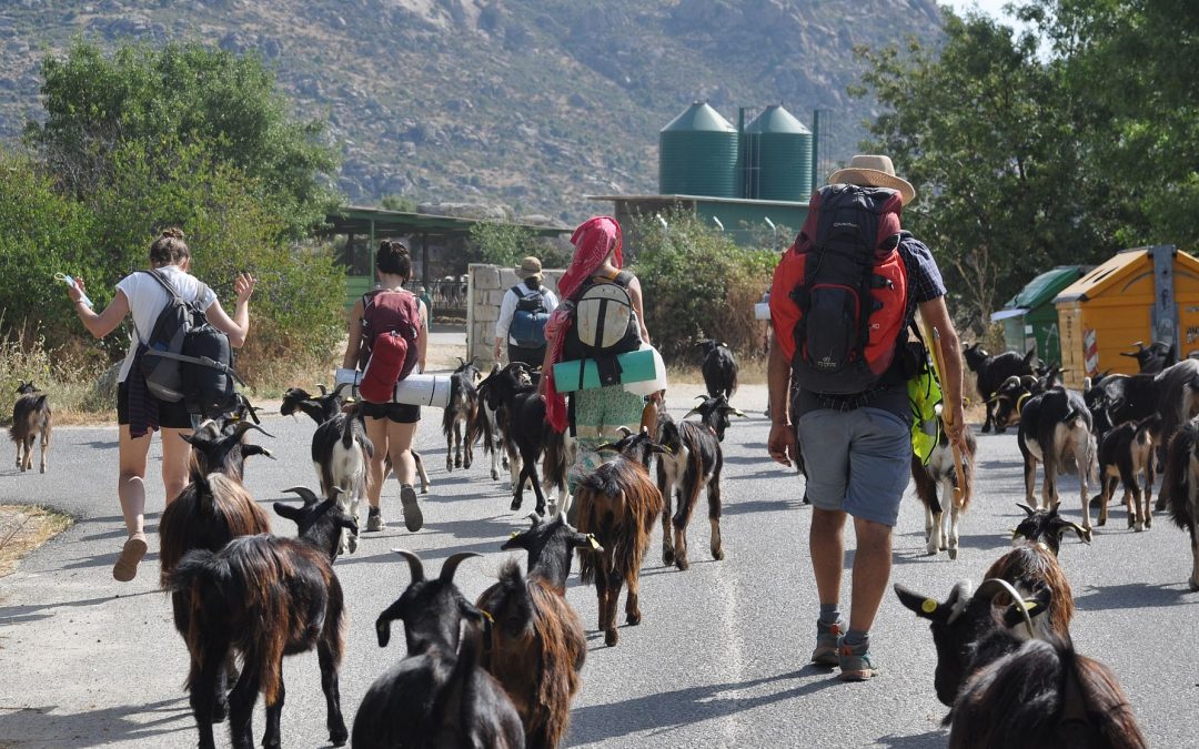 Una llamada a la acción desde los pueblos: “que la pandemia no sea la excusa para frenarnos”