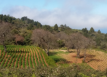 Recuperar el patrimonio y la memoria agriculta como argumentos para un turismo agroecológico
