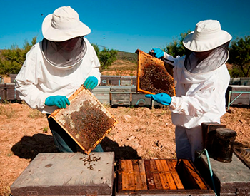 Mujeres con iniciativa. La polinización del río Henares.