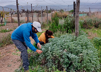 La agroecología como estrategia para recuperar población en Almócita