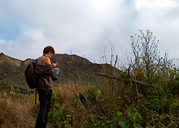 El banco de tierras como instrumento para potenciar la agroecología en Buenavista del Norte