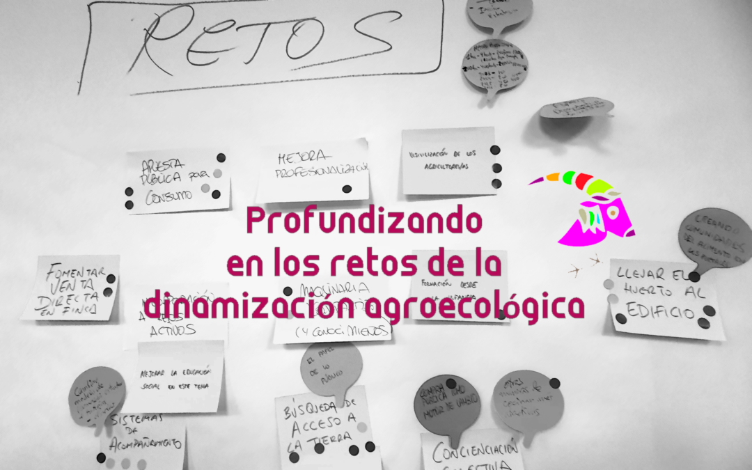 Profundizando en los retos de la dinamización agroecológica