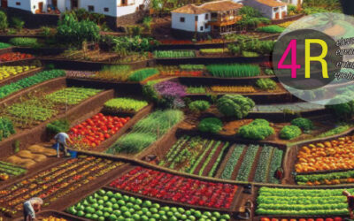 IV jornadas Terrae Agroecología desde el municipalismo y la insularidad. 4Rs: relevo, regeneración, rentabilidad y repoblación