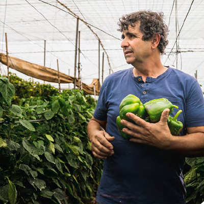 finca agromilan