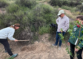 Más allá del asociacionismo y voluntariado ambiental