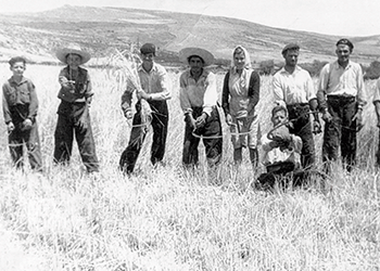 La tierra que nos une: la memoria rural como brújula de futuro en Lozoyuela