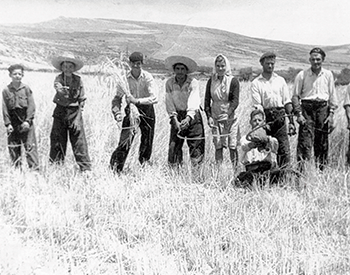 La tierra que nos une: la memoria rural como brújula de futuro en Lozoyuela