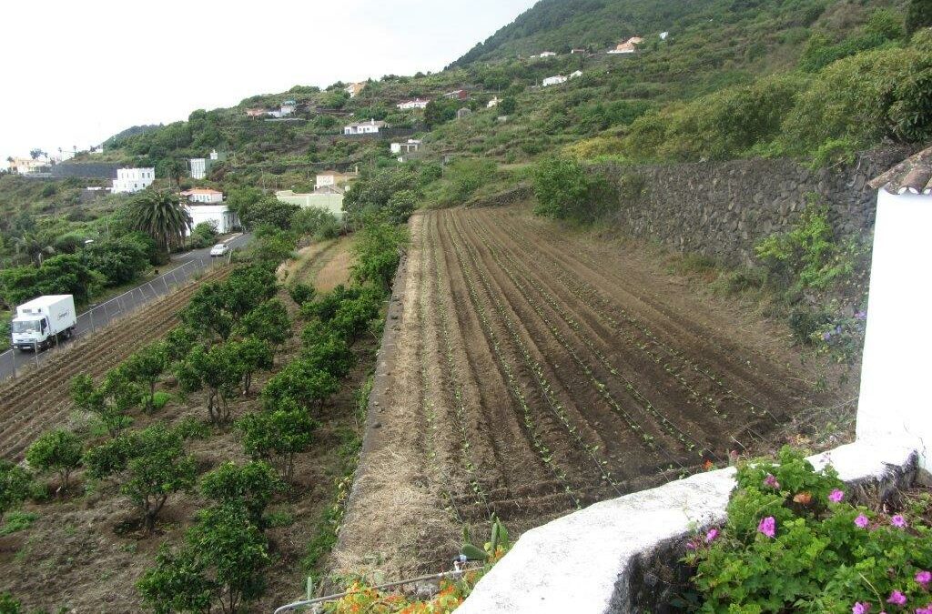 Tierra Joven y bancos de tierras: una oportunidad… si se aterriza en el territorio
