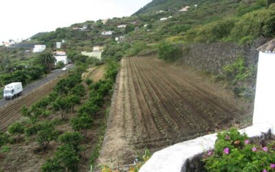 Tierra Joven y bancos de tierras: una oportunidad… si se aterriza en el territorio